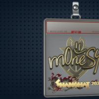 【平台担保 steam平台-CS2装备皮肤交易】印花板 | m0NESY（金色）| 2024年上海锦标赛【自动发货 0秒入库】