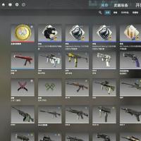 【平台担保 steam平台-CS2账号交易】CS2账号，满枪皮，退坑出， 剩下自己看入库记录，包第三方平台，包解绑，包换绑登录【自动发货 0秒入库】