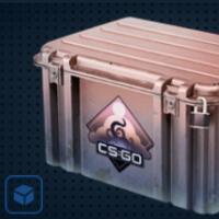 【平台担保 steam平台-CS2装备皮肤交易】梦魇武器箱【自动发货 0秒入库】